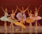 Шоу балет